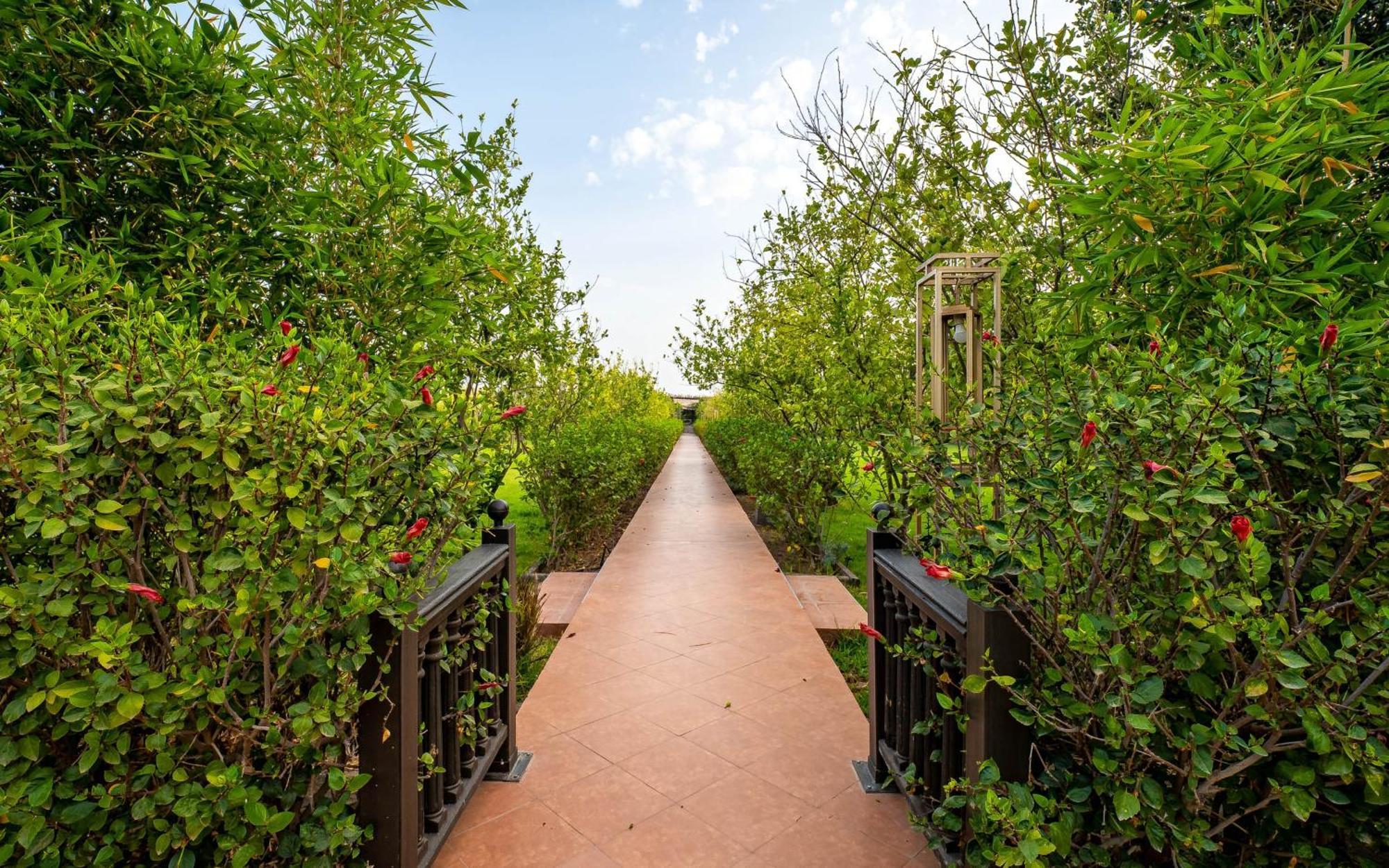 The Lemonary Marrakech Hotel Ouled Moumen Exterior photo